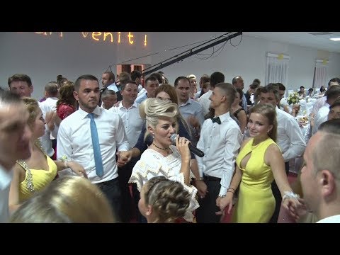 Ancuta Timis si formatia - Colaj Banat 2017-Nunta Moiseni Tara Oasului