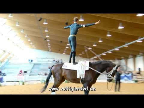 Gregor Klehe - Male 01 - DJM Voltigieren München 2018