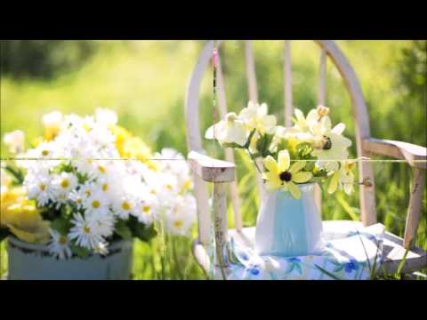 Wochenorakel vom 05  bis 11 Juni 2017