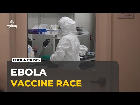 Scientists race for a new Ebola vaccine: The most promising candidates against strain