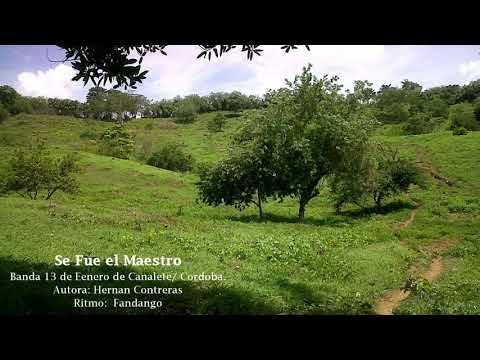 Se Fue El Maestro - Banda 13 de Enero de Canalete / Cordoba.