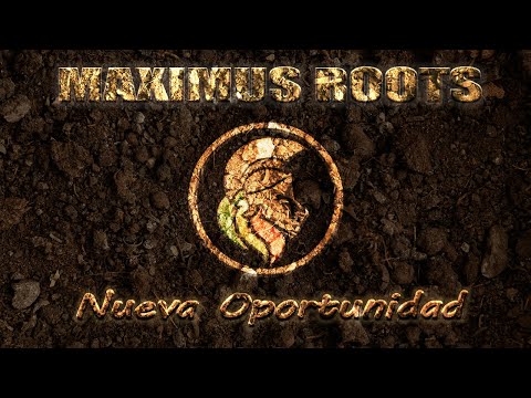 Video de Maximus Roots
