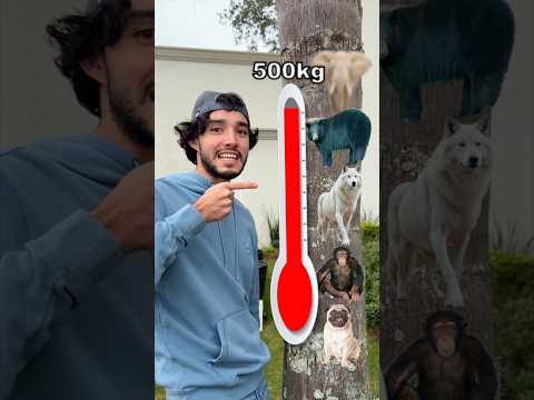 QUE ANIMALES PODRE DETENER?😱🦁