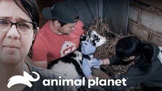 Thumbnail del capítulo