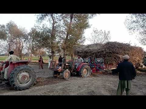 Minister  Tractor Stunt Point ||Diwan Tractor Pulling sugarcane mood