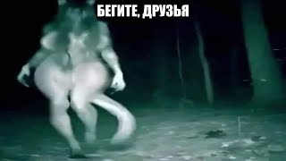 Набор Странных Мемов Забытой Папки