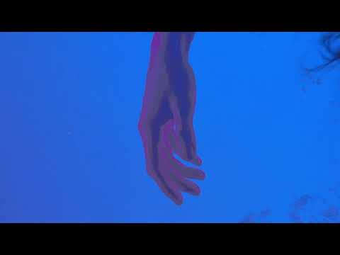 Rozzen, Wolsh - Don't Let Me Go [Official Audio]