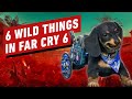 6 Wild Things in Far Cry 6