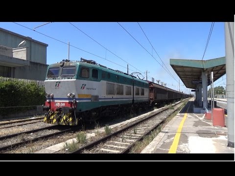 21/07/2016: Un'incredibile mattinata a Pomezia!