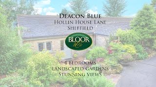 Deacon Blue, Sheffield