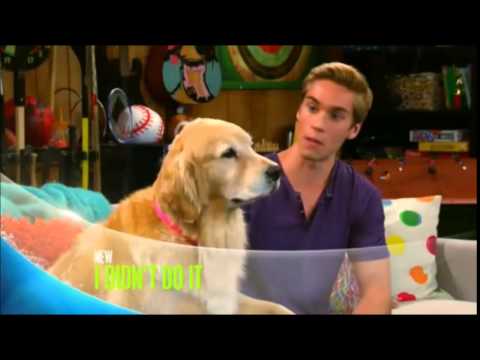 I Didn't Do It - Doggie Daddy Promo