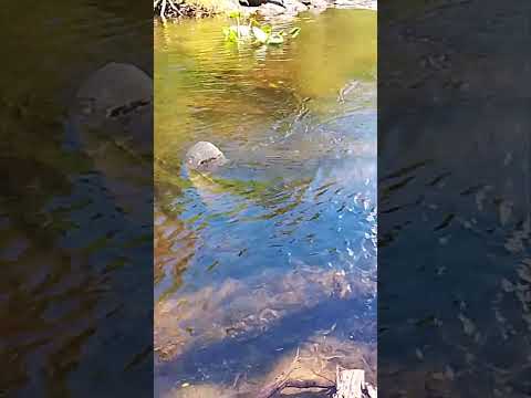 Solís de mataojo Lavalleja uruguay