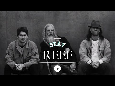 REEF live at Sea7