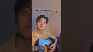 Lana Del Rey - Did you know there's a tunnel under Ocean Blvd (Short Cover by ZACH)