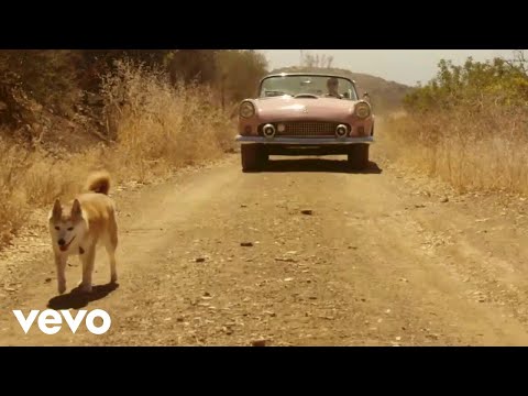 Beck Black - Red Dog