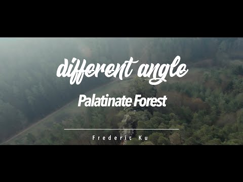 Palatinate Forest from a different angle | Frederic Ku