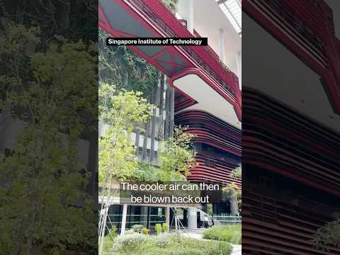 Singapore Brings Back 19th-Century Tech to Beat the Heat
