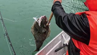 Quality Chicken Halibut- Day 3 At Island Point Lodge Petersburg, Alaska