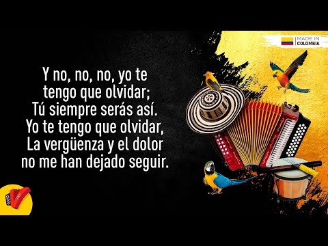 Te Tengo Que Olvidar, La Combinación Vallenata, Video Letra - Sentir Vallenato