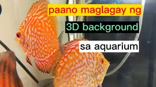 paano mag lagay ng 3D background at paano mag lipat ng isda sa aquarium | 3D background idea