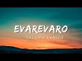 Animal song||Evarevaro song||Telugu Lyrics