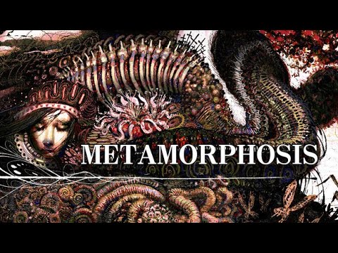 METAMORPHOSIS - Official Demo Trailer