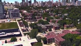 DESIIGNER PANDA FT SMOKE DAWG