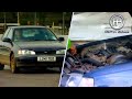 Driving with No Oil: what does it do? | Fifth Gear