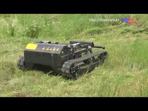 Выпуск программы “День” от 19 июня 2026г.