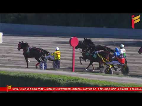 I corsa del 14 ottobre 2023 - 5 Anni ed oltre Cat. F - Metri 1600