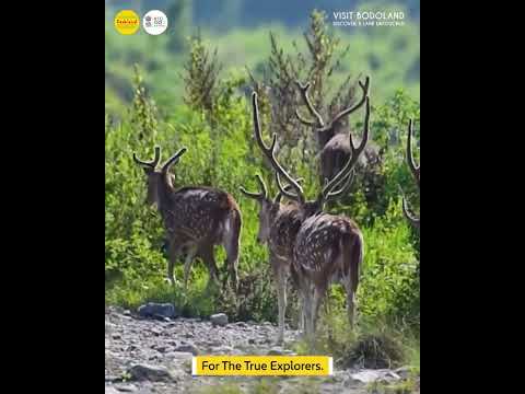 Season Ends June 25 : Visit Bodoland | Bodoland Tourism