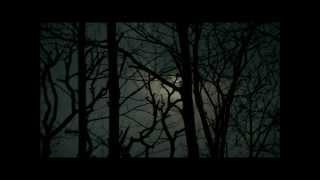 Flimmer, Bugge Wesseltoft