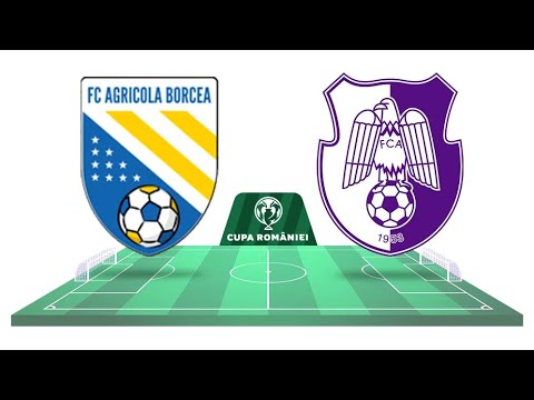 AGRICOLA BORCEA - FC ARGES  | PLAY OFF CUPA ROMANIEI BETANO