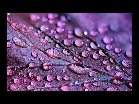 Ruido rosa natural | natural pink noise