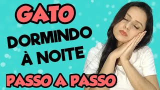 Como Fazer Gato Dormir à Noite Inteira Passo a Passo 😾