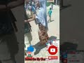 Pirankii Ajaaiba Yaroo Jalqabatiif Hojjanne