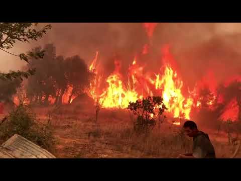 Wildfires rage across Algeria, Greece and Italy