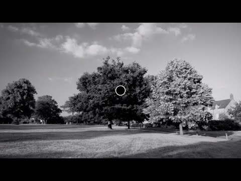 Cette illusion d'optique incroyable vous fait voir en couleur une photo en noir et blanc