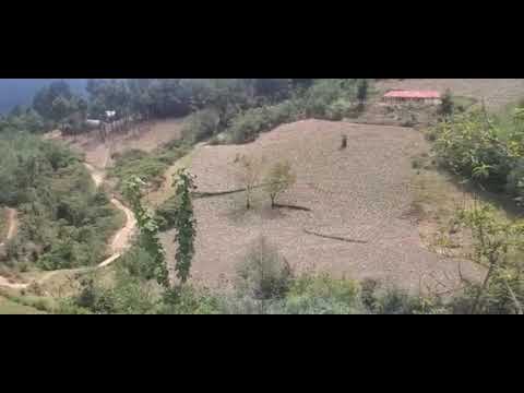 Marimba  Sonora GC vol.18 - Si No Vuelvo No Llores