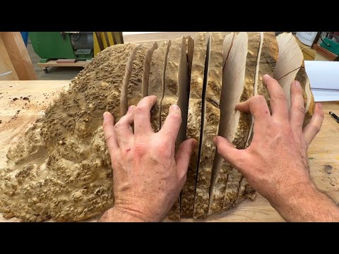 Opening a Natural Maple Burl