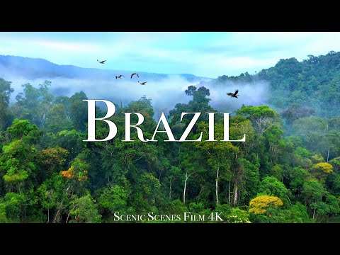Brazil In Beautiful Tropical Country