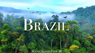 Brazil In 4k - Beautiful Tropical Country  Scenic 