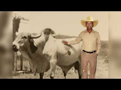 BELLAVISTA EN LA HISTORIA