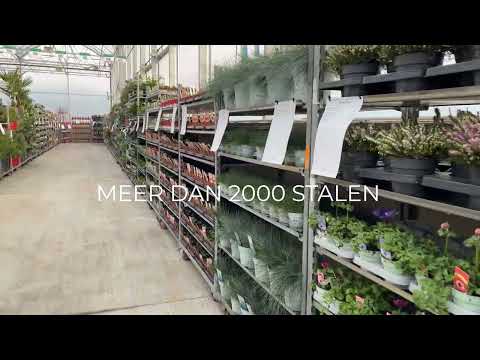 Terugblik 'Lente bij Willaert' 2025'