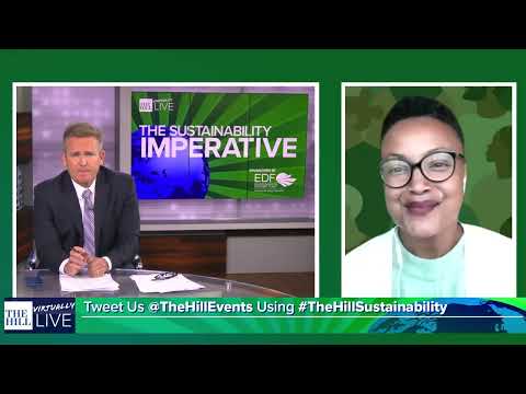 Dept. of Energy Deputy Director for Energy Justice Shalanda Baker | The Sustainability Imperative