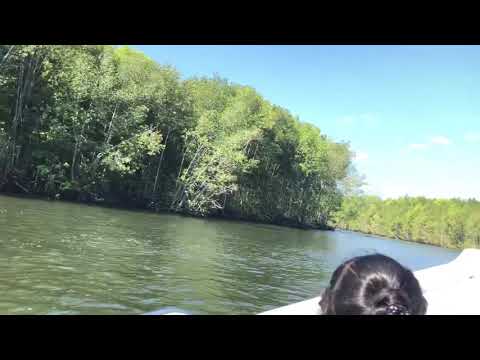 Wafiya Wadi at Kilim Geoforest Park, Langkawi