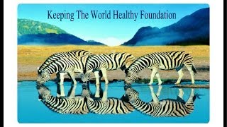 Keeping The World Healthy Foundation