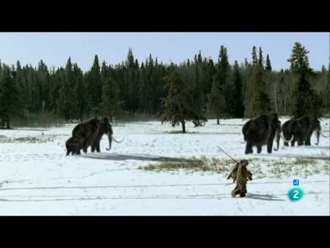 LA EXTINCIÓN DE LA MEGA FAUNA DE LA EDAD DE HIELO - DOCUMENTAL