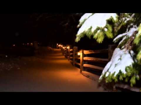 Pensiunea Gainusa de Munte Cheia - www.TourTravel.ro