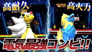 無理矢理バトンして「最強のコンビ」を完成させてみたｗｗ【Pokémon Champions】